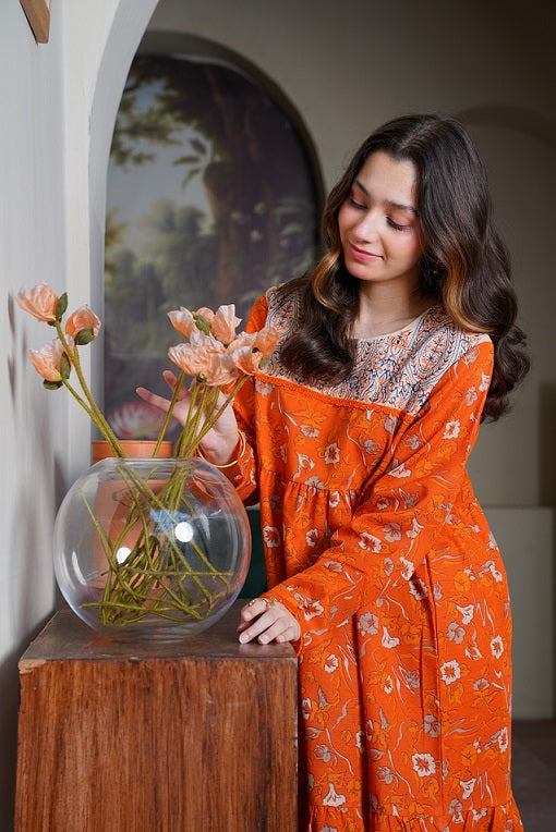 Lily Embroidered Long Frock with Trousers 2pc Dress