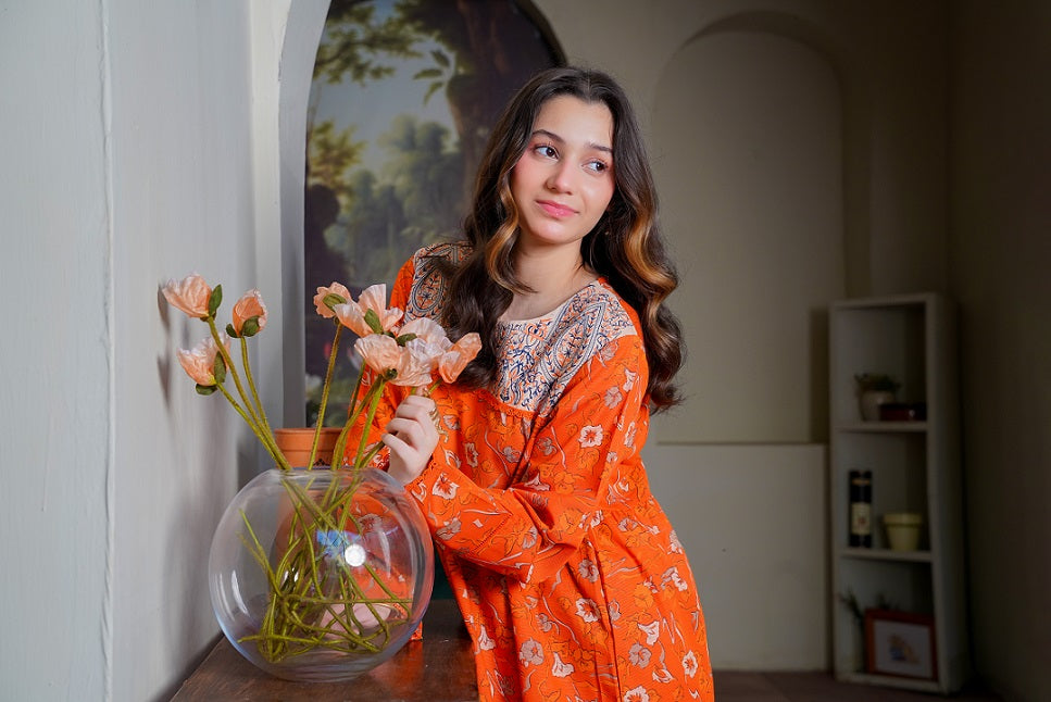 Lily Embroidered Long Frock with Trousers 2pc Dress