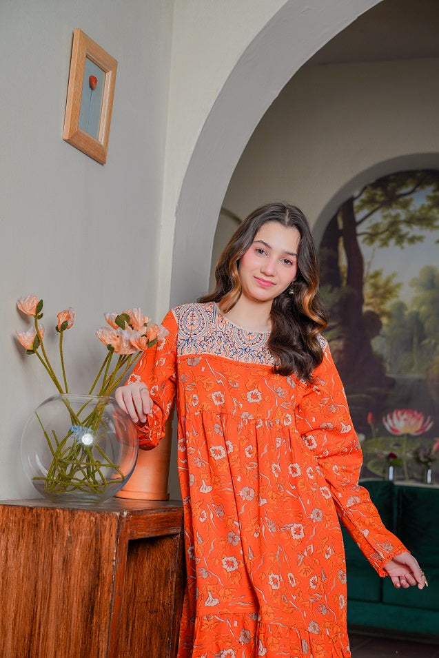 Lily Embroidered Long Frock with Trousers 2pc Dress