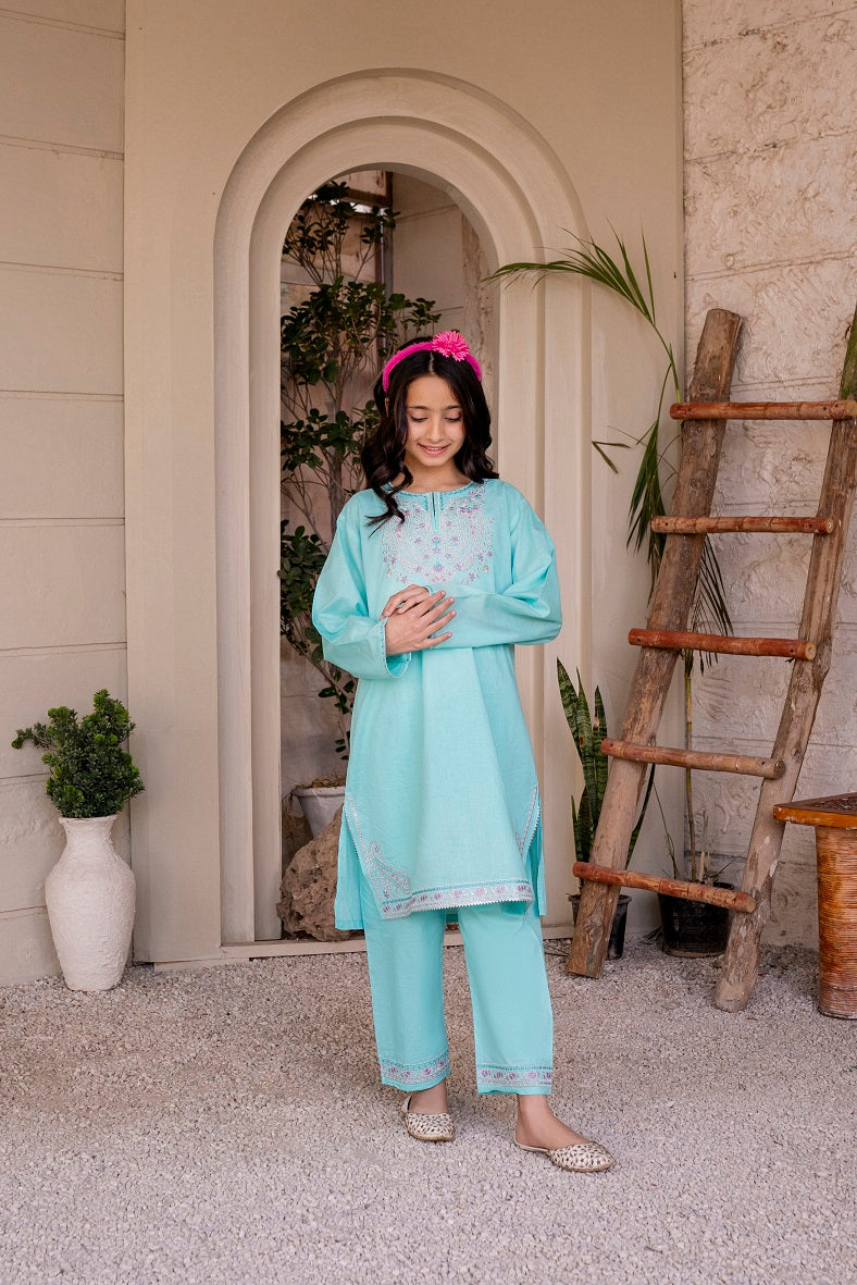 Light Blue Embroidered 3PC