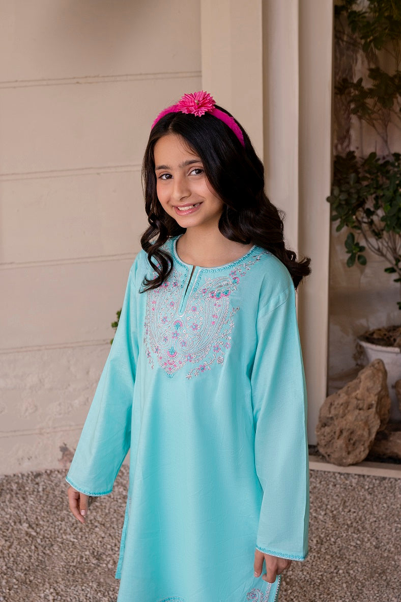 Light Blue Embroidered 3PC