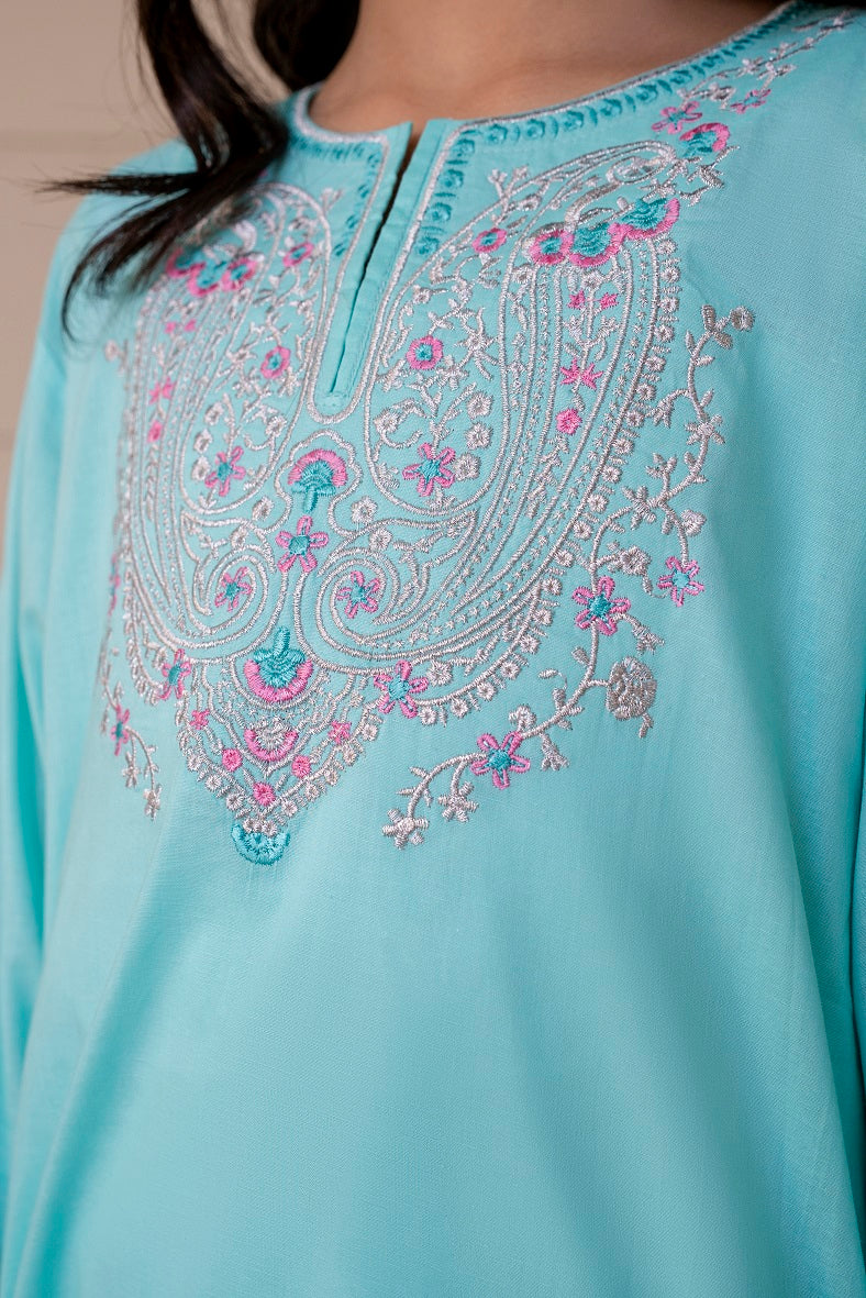 Light Blue Embroidered 3PC