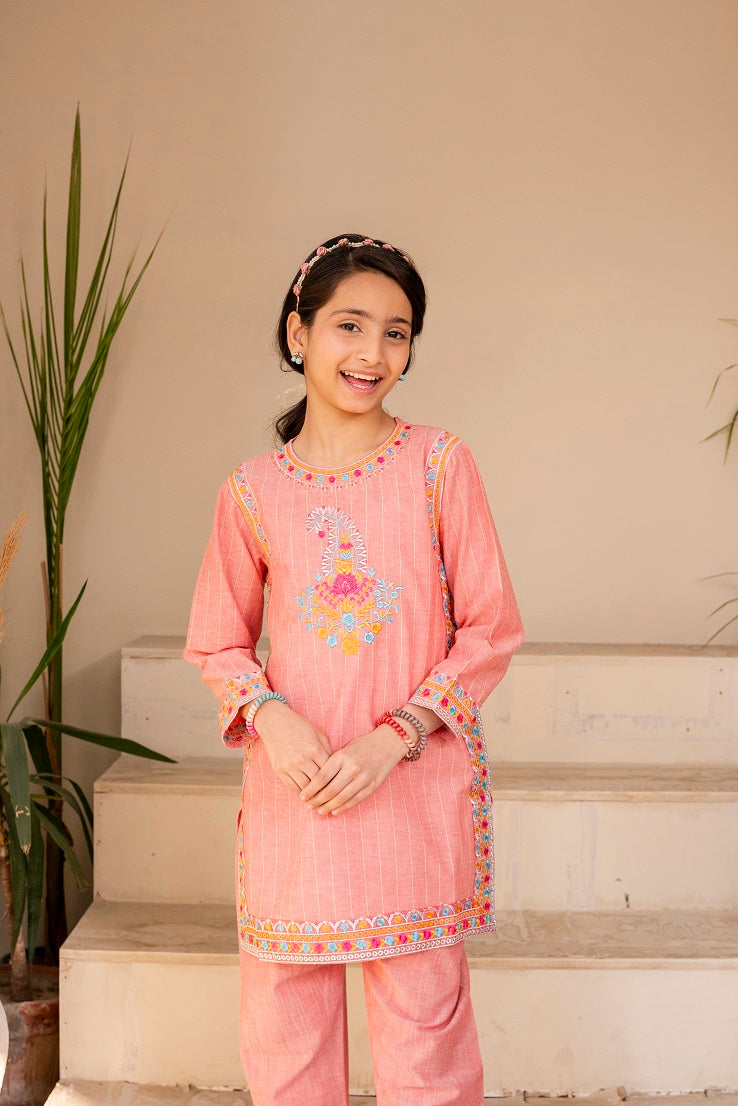 Baby pink 2pc embroidered