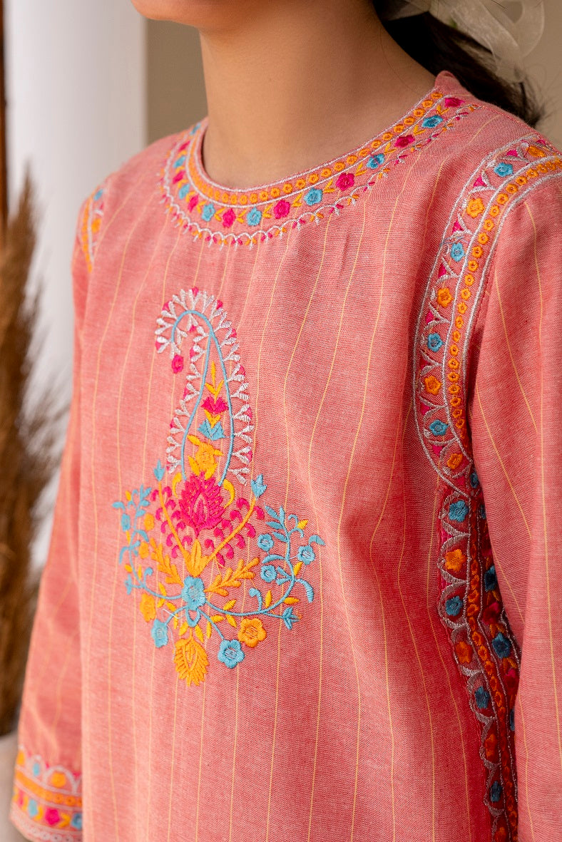 Baby pink 2pc embroidered