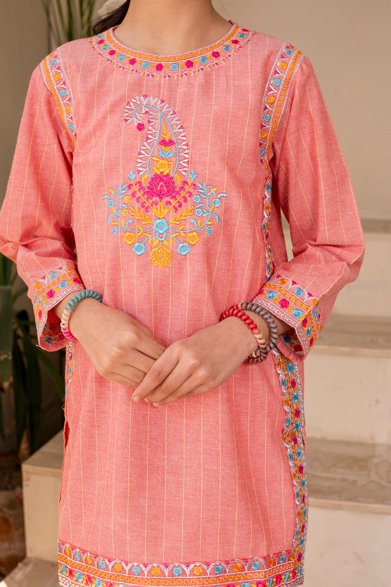 Baby pink 2pc embroidered