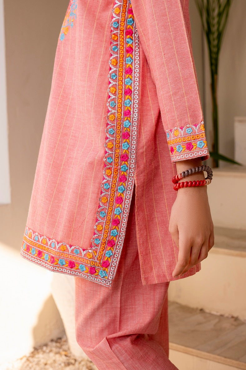 Baby pink 2pc embroidered
