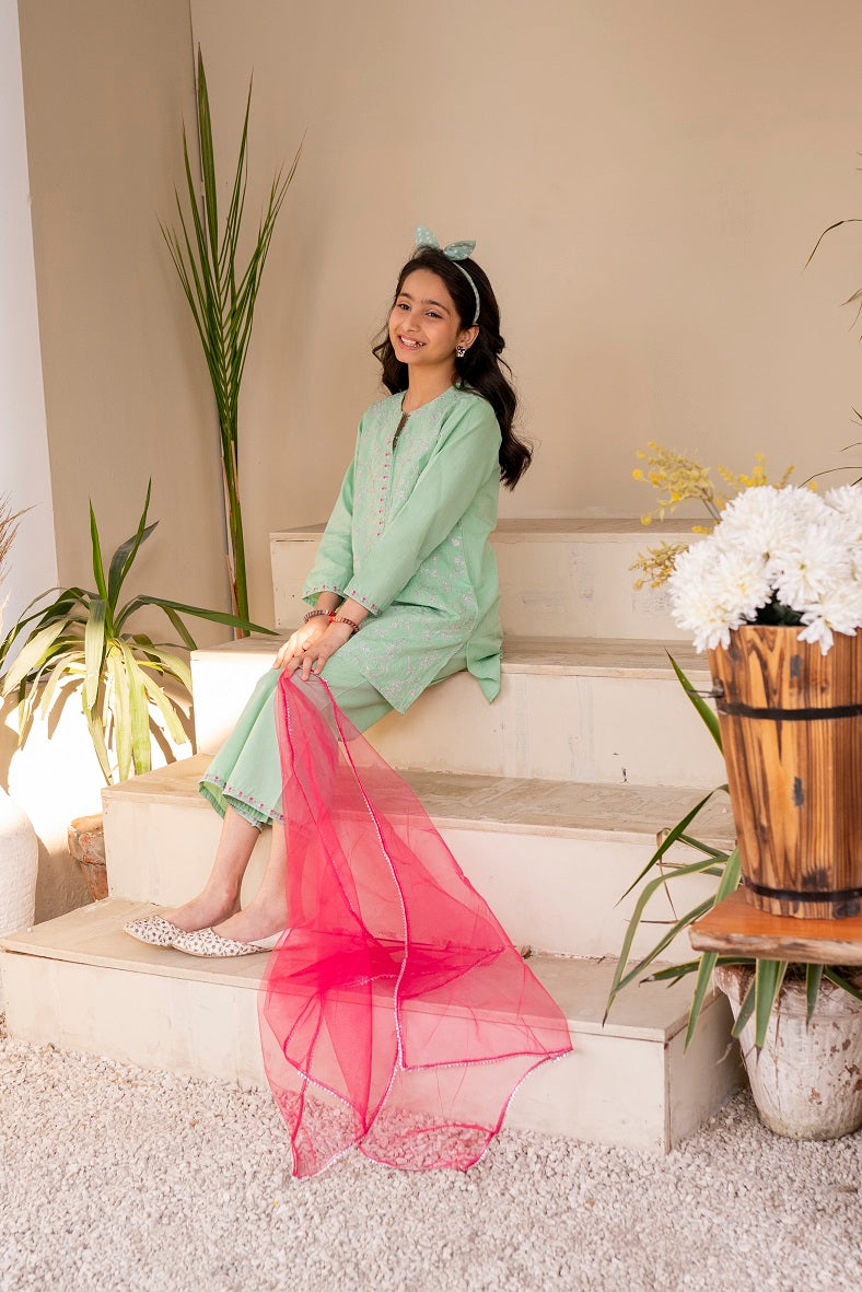 Sea green 3pc Allover Embroidered