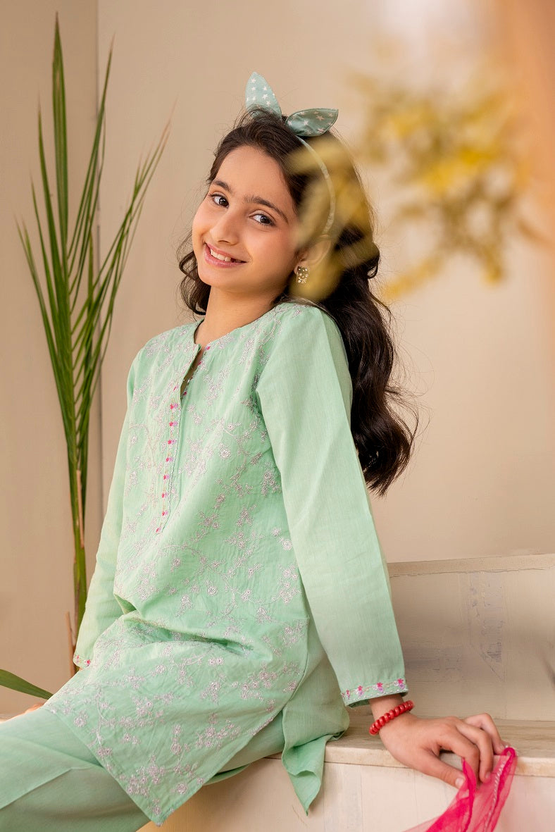 Sea green 3pc Allover Embroidered