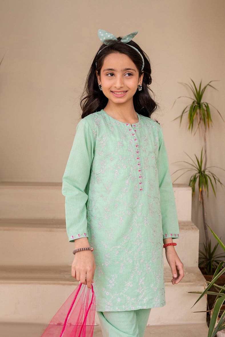 Sea green 3pc Allover Embroidered