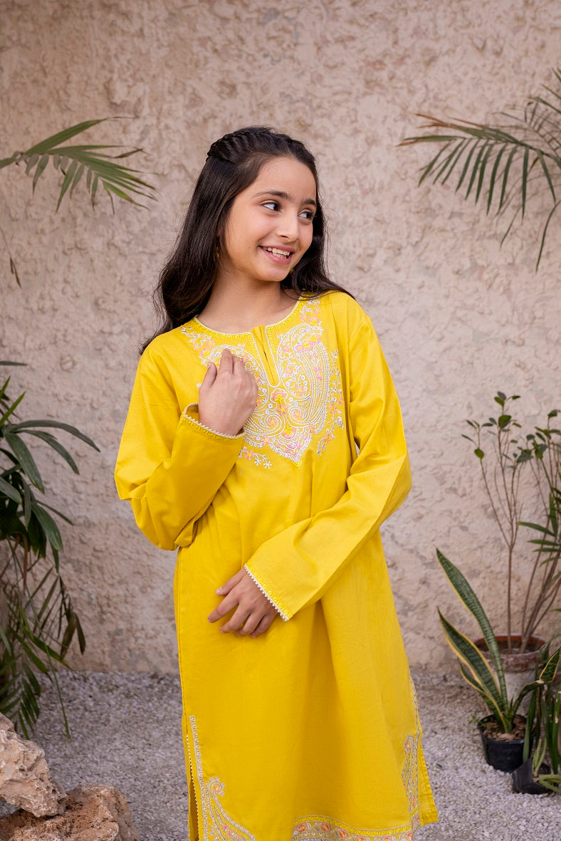 Parrot Green Embroidered 3PC