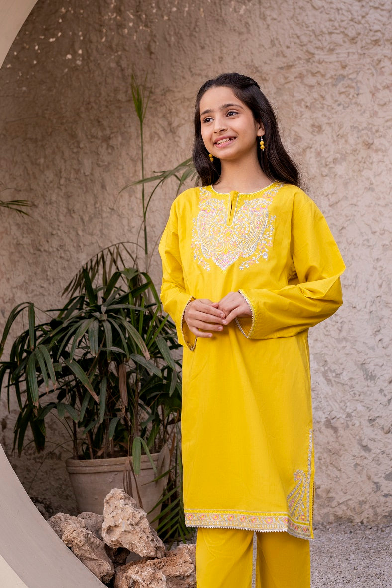 Parrot Green Embroidered 3PC