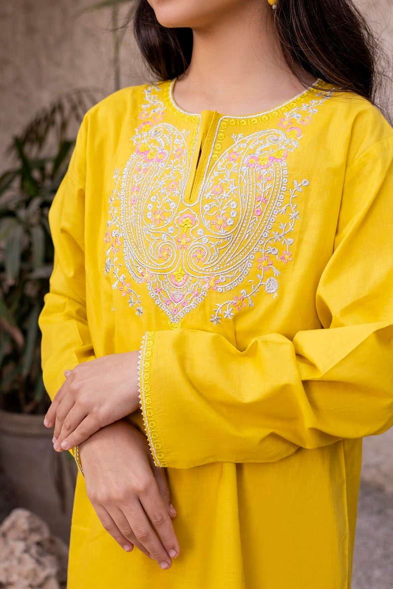 Parrot Green Embroidered 3PC