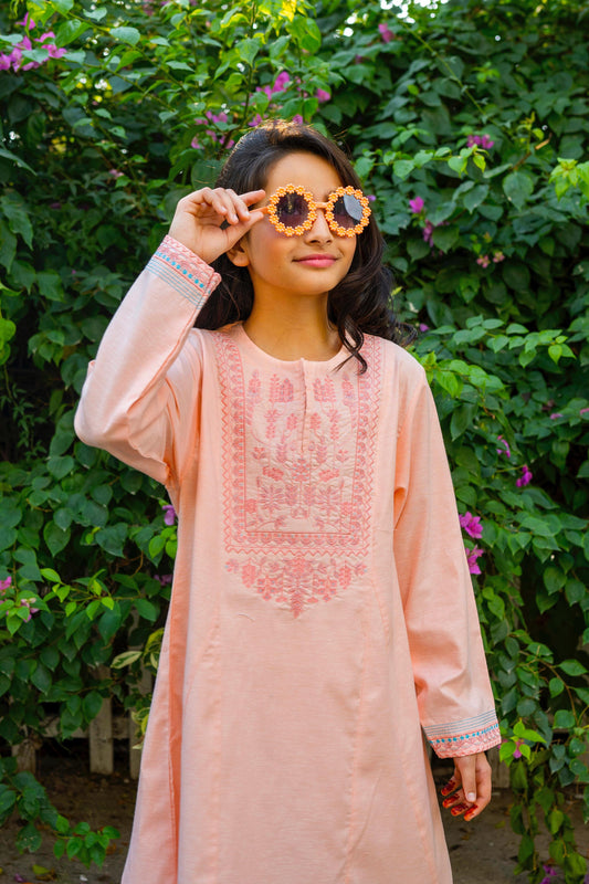 Khaddar Embroidered 2pc Dress