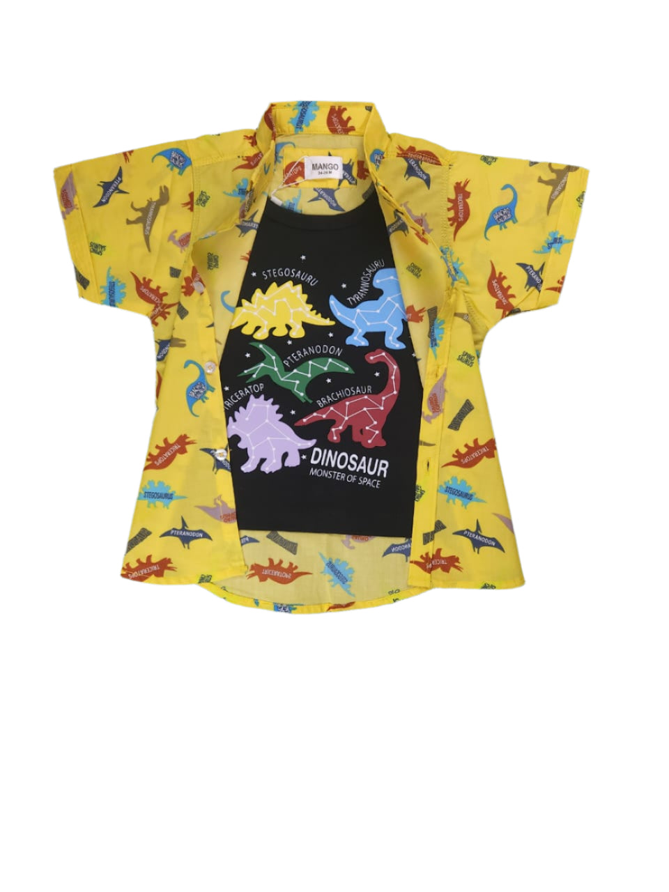 Boys Double shirts