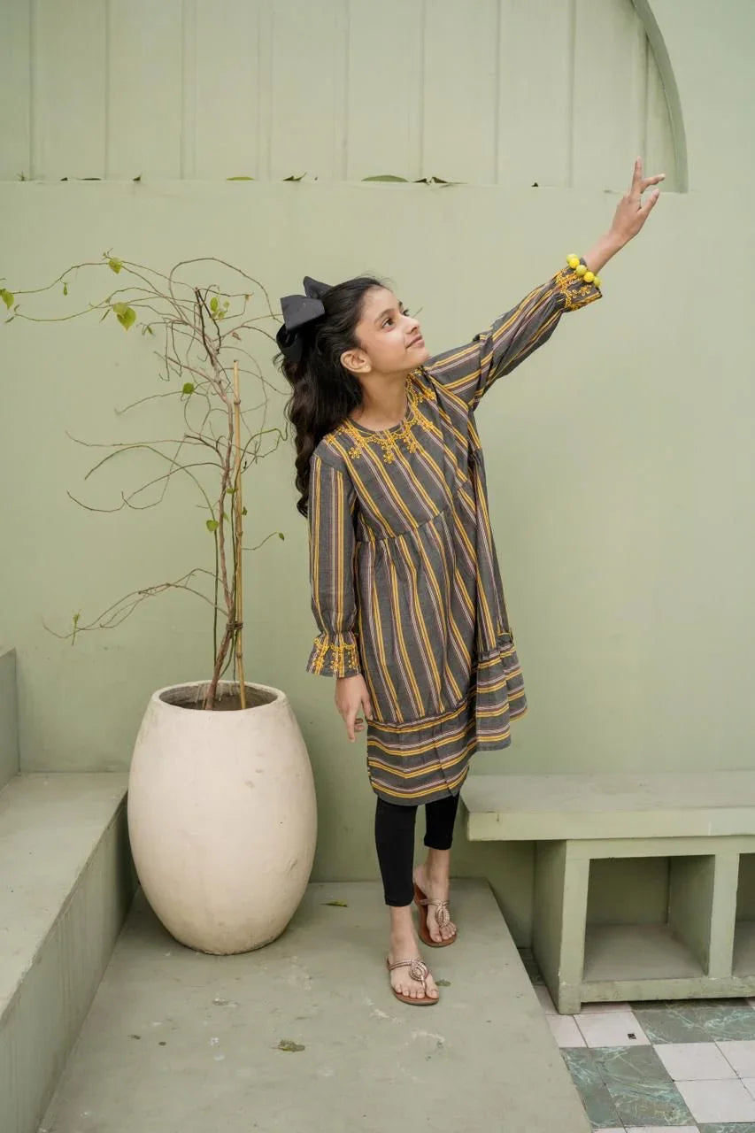 Lily Embroidered Long Frock.