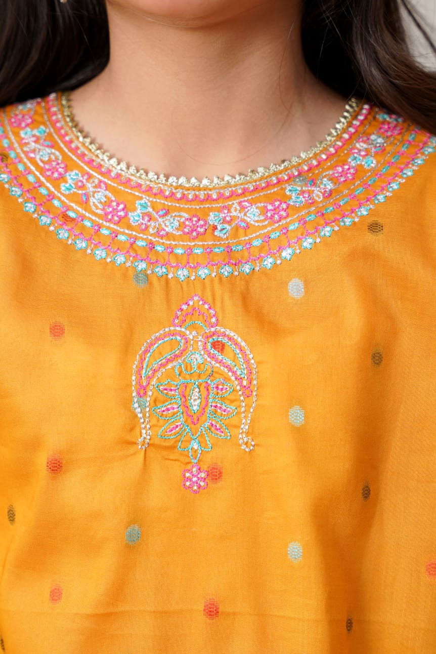 Mustard Multi Embroidered 2pc
