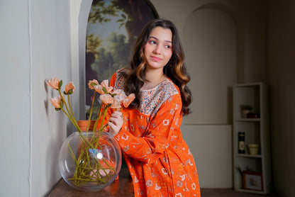 Lily Embroidered Long Frock with Trousers 2pc Dress
