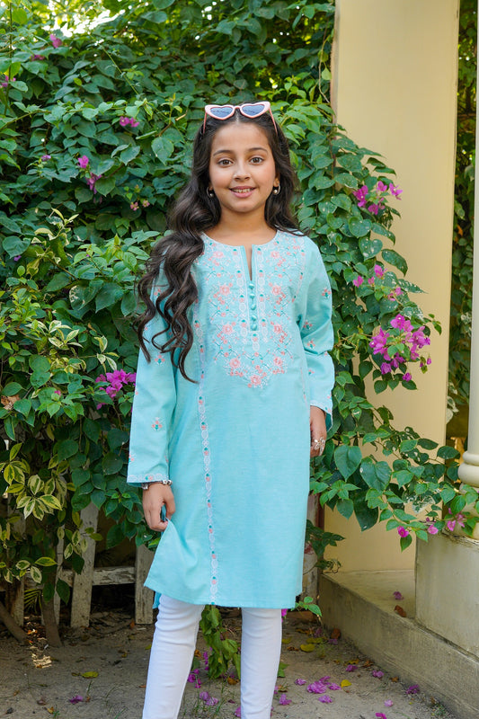 Embroidered Firozi Kurti