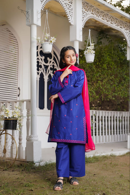 Girl in a blue traditional outfit with a pink dupatta standing in front of a white building with decorative architecture.