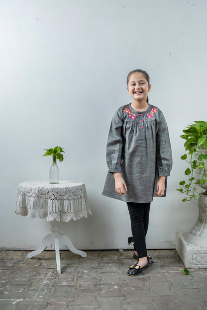 Denim Embroidered Frock