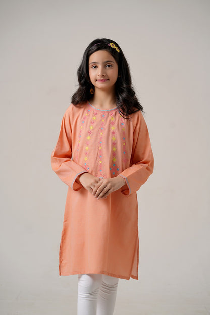 Lily Peach Embroidered Top