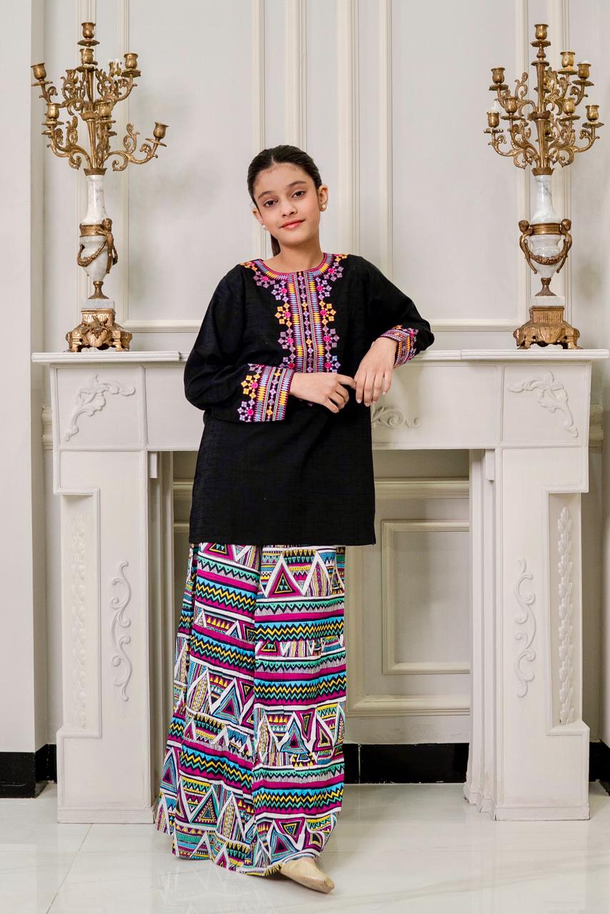 Lily Black Embroidered Skirt with Shirt