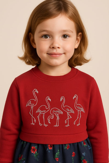 Silver Sawan Fleece Frock