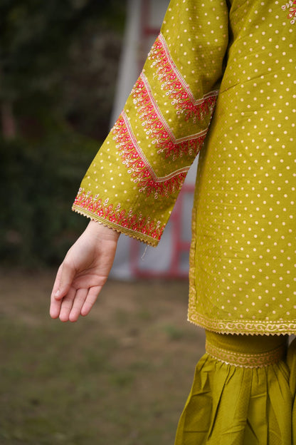 Meher Olive Gharara Set