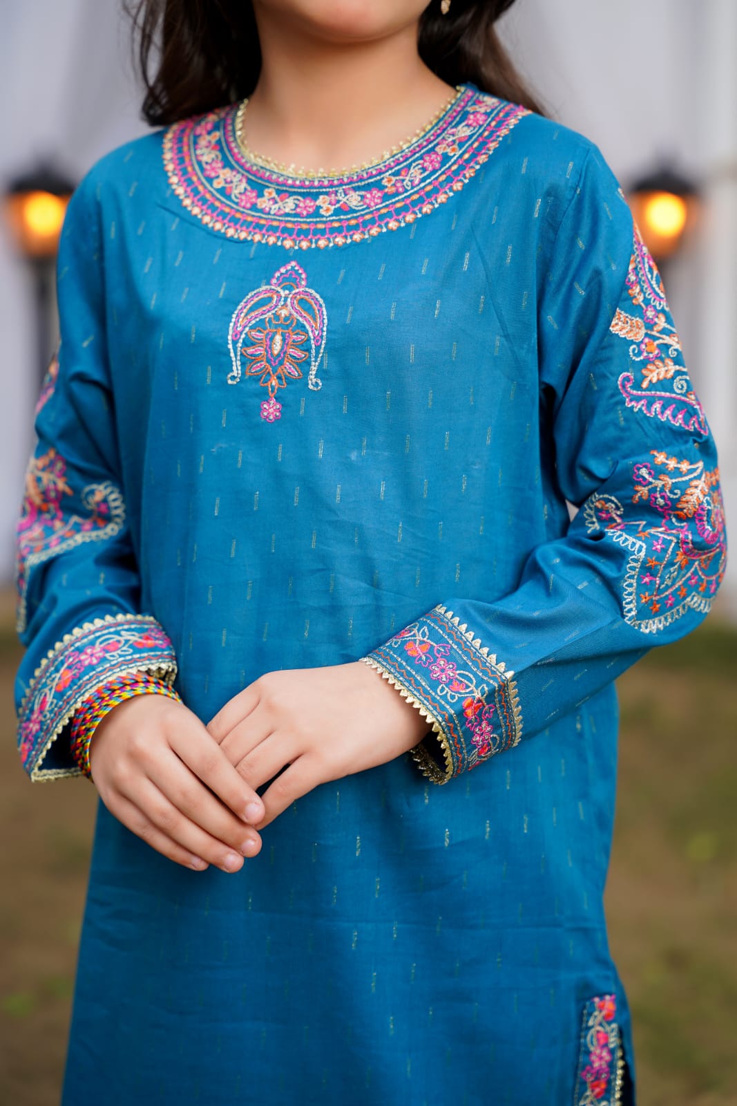 Blue Multi Embroidered 2pc
