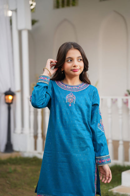 Blue Multi Embroidered 2pc