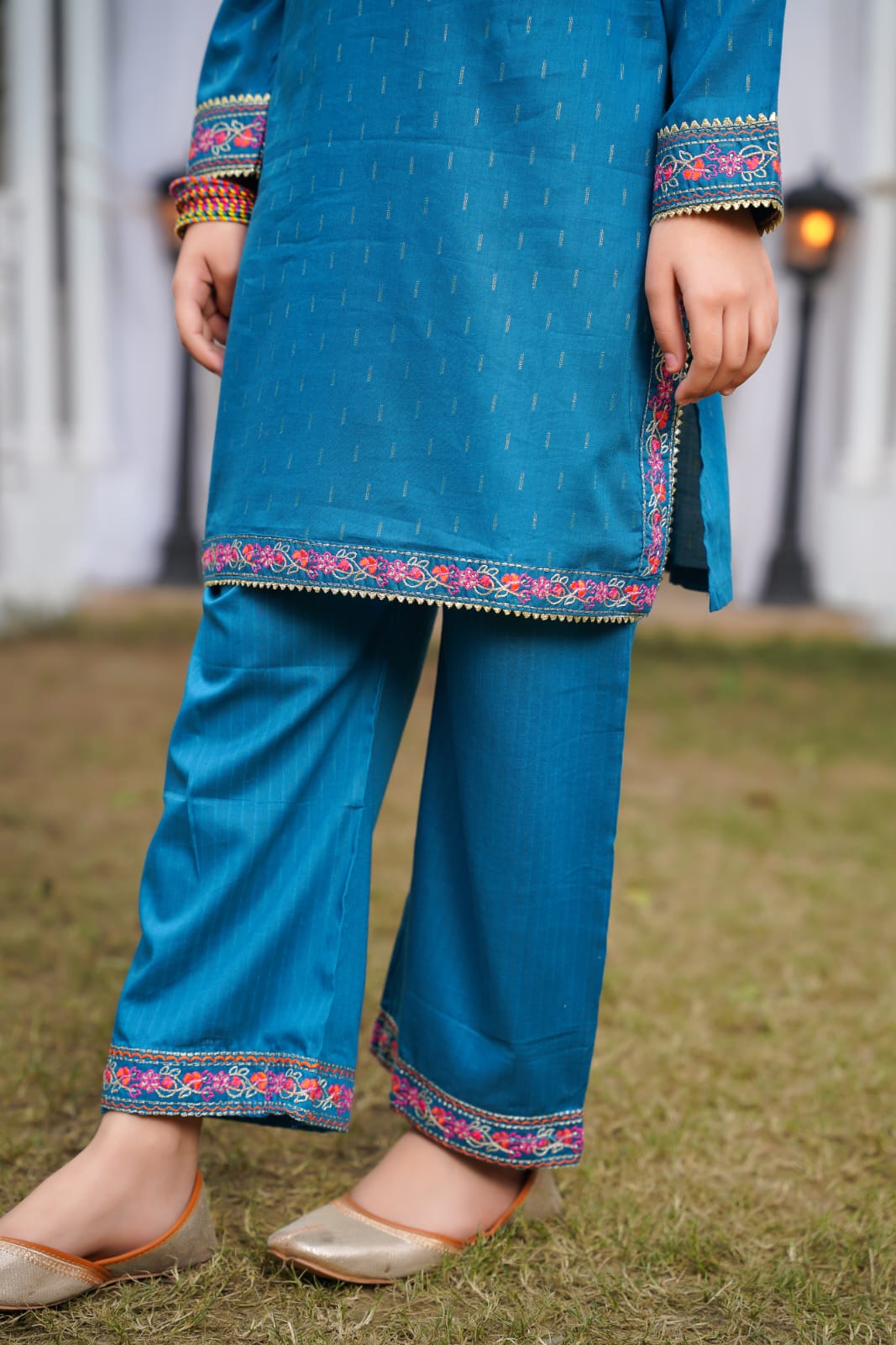 Blue Multi Embroidered 2pc