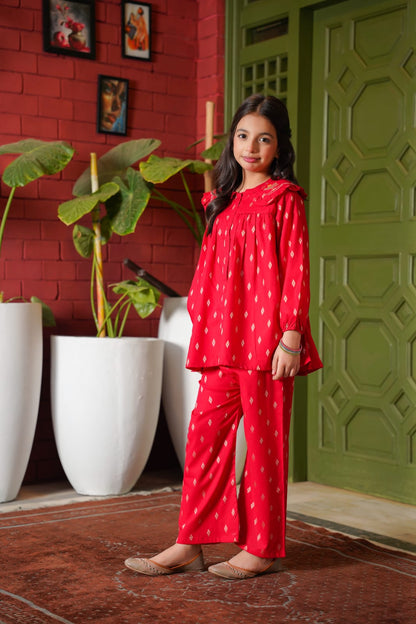 Embroidered co ord sets