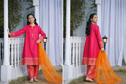 Gul-e-Noor 3pc Dress