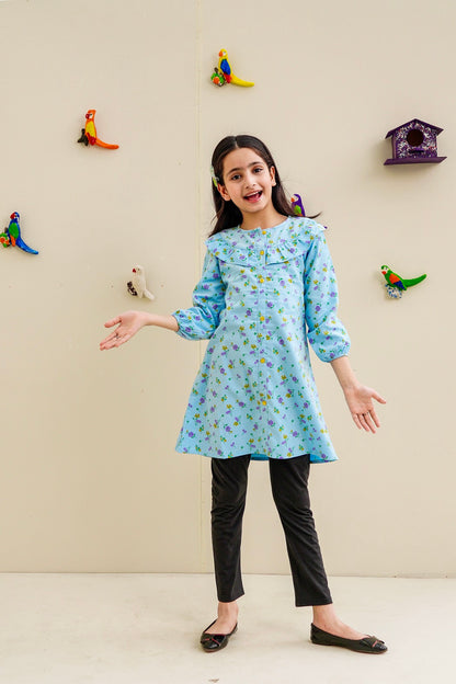 Sky blue printed Corduroy frock